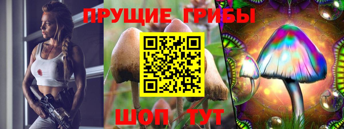 Псилоцибиновые грибы MAGIC MUSHROOMS  Вход с VPN  Соль-Илецк 